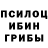 Псилоцибиновые грибы прущие грибы Peter Cunningham